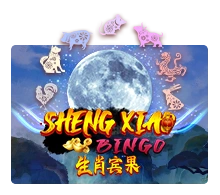 Sheng Xiao Bingo - SNIPLAY88