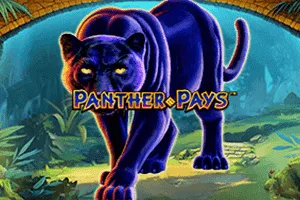 Panther Pays - SNIPLAY88