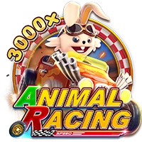 ANIMAL RACING - SNIPLAY88
