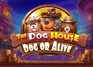 The Dog House - Dog or Alive - SNIPLAY88