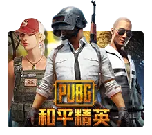 Pubg - SNIPLAY88