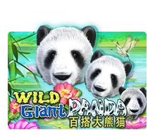 Wild Giant Panda - SNIPLAY88