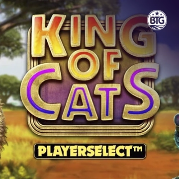 King of Cats - SNIPLAY88