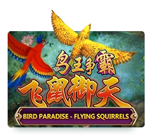 Bird Paradise - SNIPLAY88