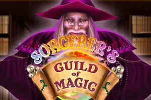 Sorcerers Guild of Magic - SNIPLAY88