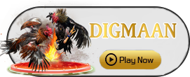 Digman - SNIPLAY88